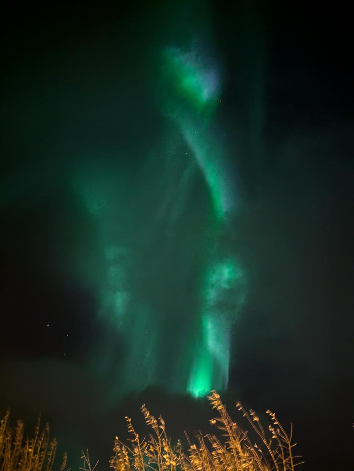 Apartament The House Of Aurora I Tromsø Zewnętrze zdjęcie